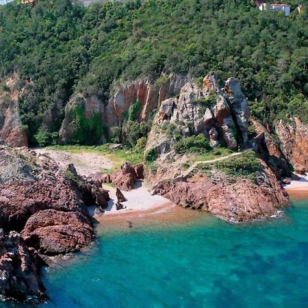 Rez De Jardin Au Calme Et Proche Mer Mandelieu Exteriér fotografie