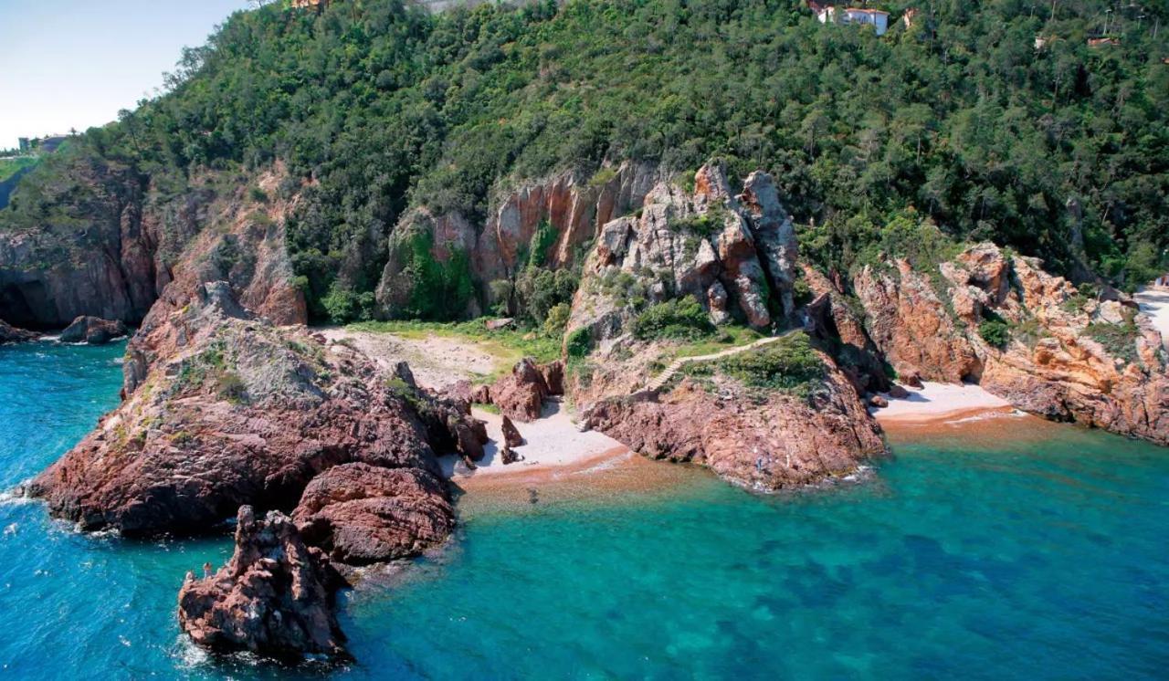 Rez De Jardin Au Calme Et Proche Mer Mandelieu Exteriér fotografie
